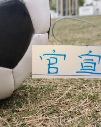 GA黄金甲体育平台-申花又官宣2人离队！今年离开阵容够组队开踢了！|上海申花|转会|姜轶祥|阿苏埃|路易斯_新浪体育_新浪新闻